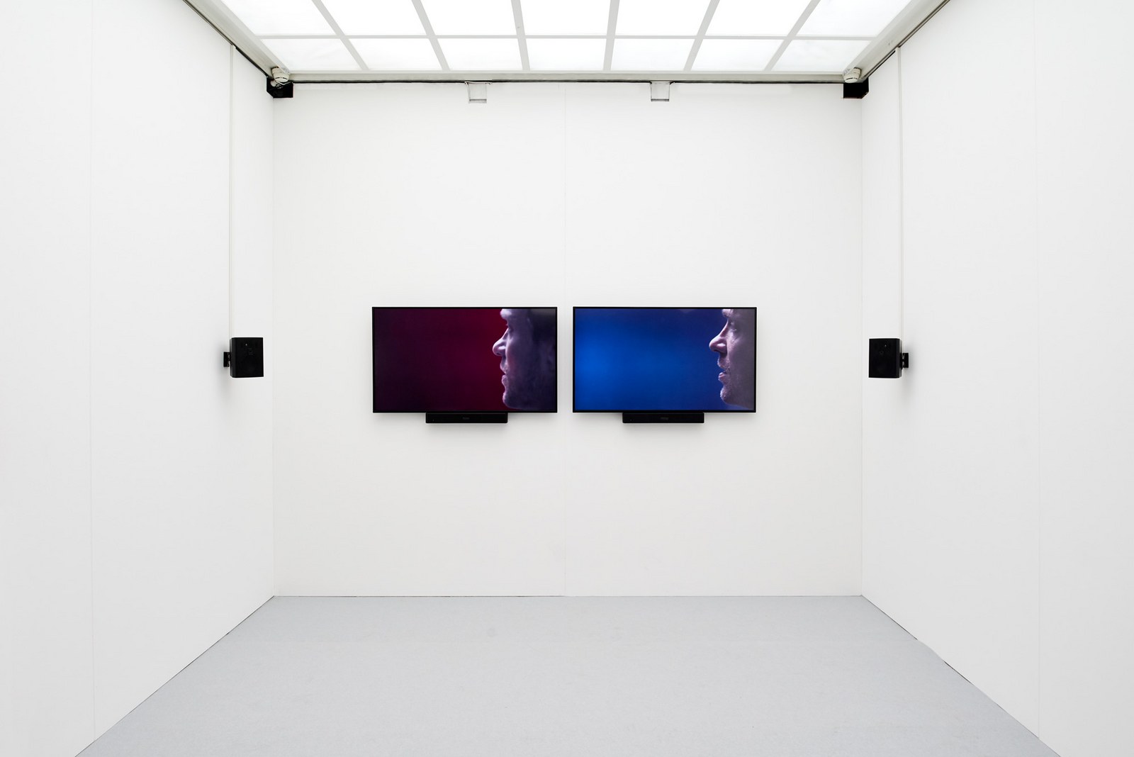M+M. FIEBERHALLE, Museum Villa Stuck, München, 2019, Foto: Jann Averwerser