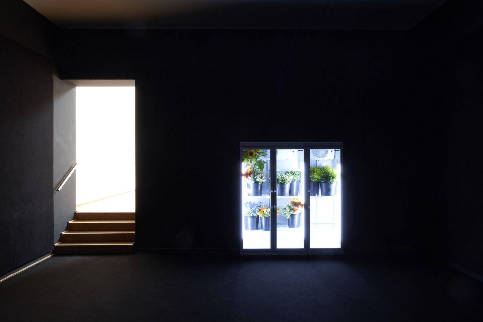 Abbas Akhavan. Museum Villa Stuck, Foto: Jann Averwerser